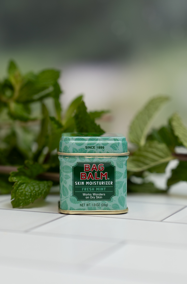 Bag Balm Fresh Mint Skin Moisturizer on tile surface with fresh mint in background