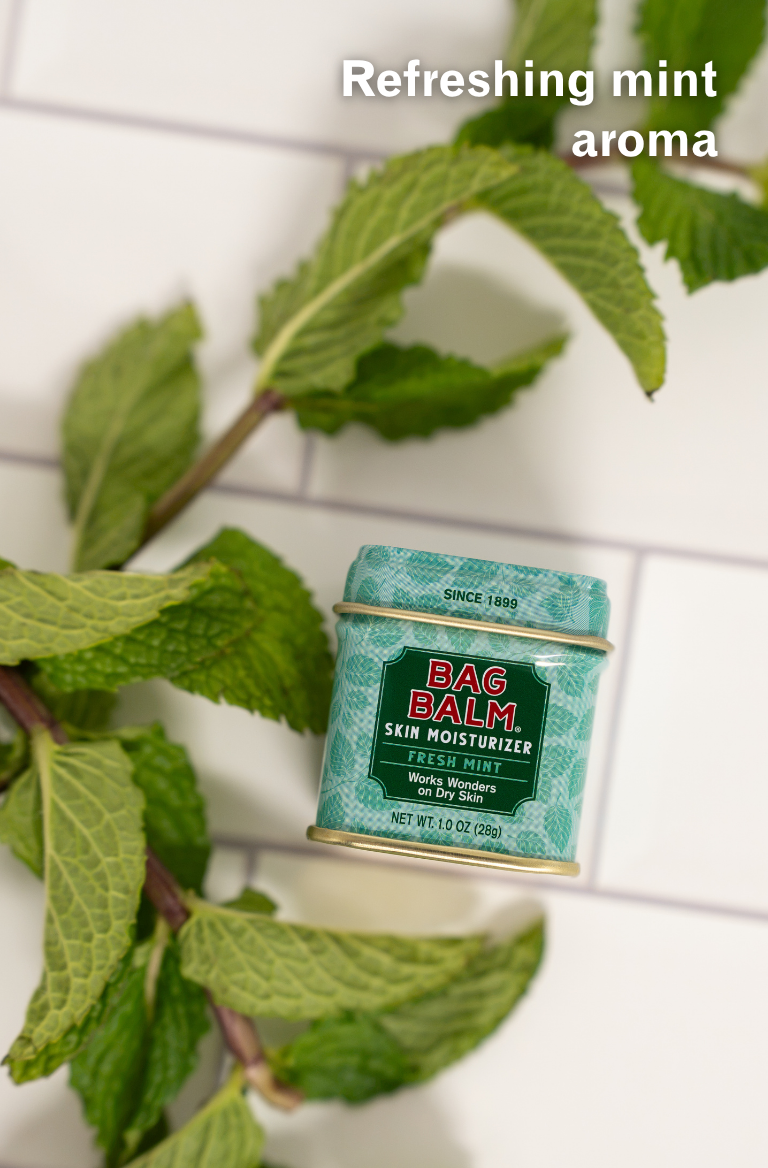 Bag Balm Fresh Mint Skin Moisturizer on tile surface with fresh mint in background