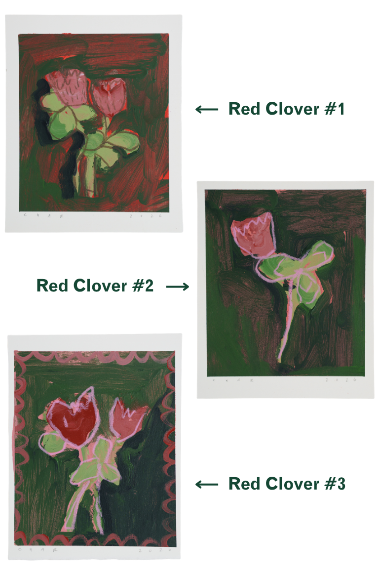 Charlotte Dworshak Paintings