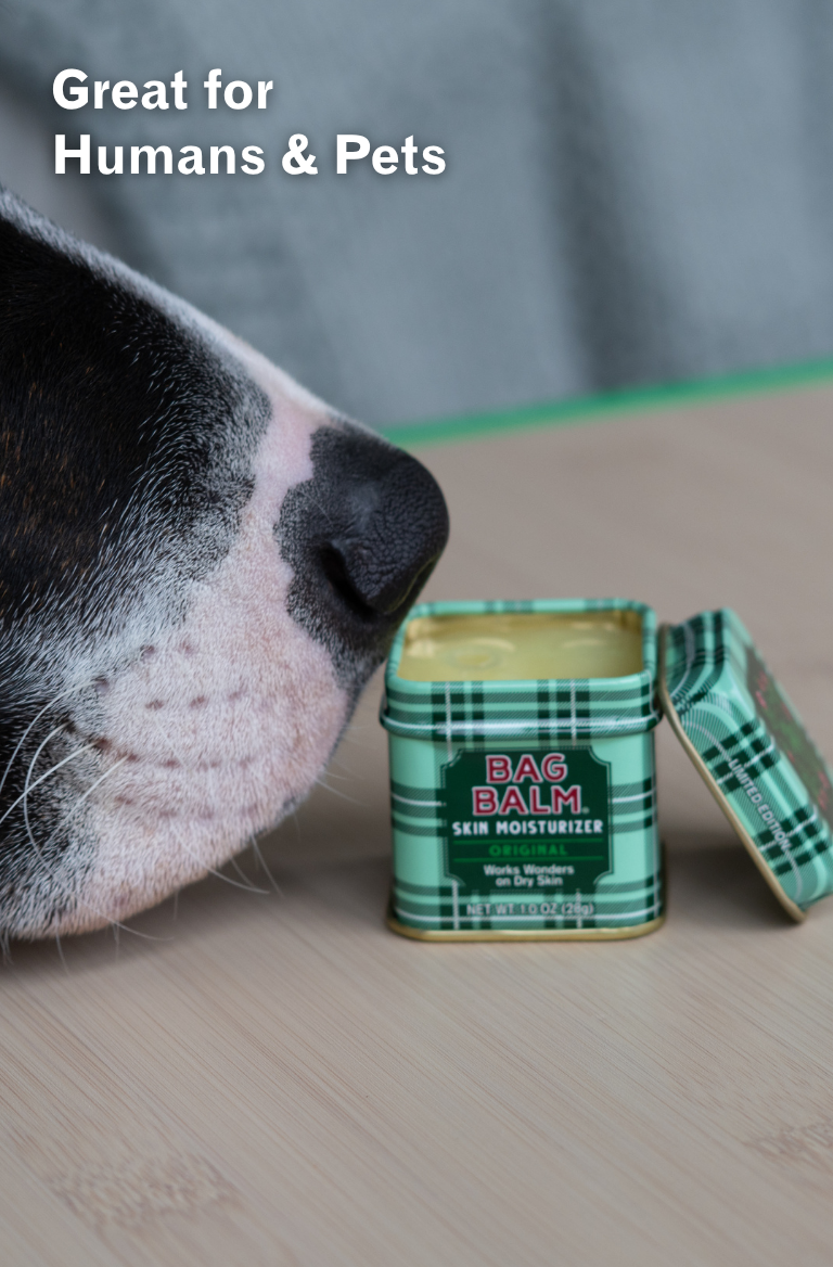 Dog sniffing Green Plaid Bag Balm 1oz Tin