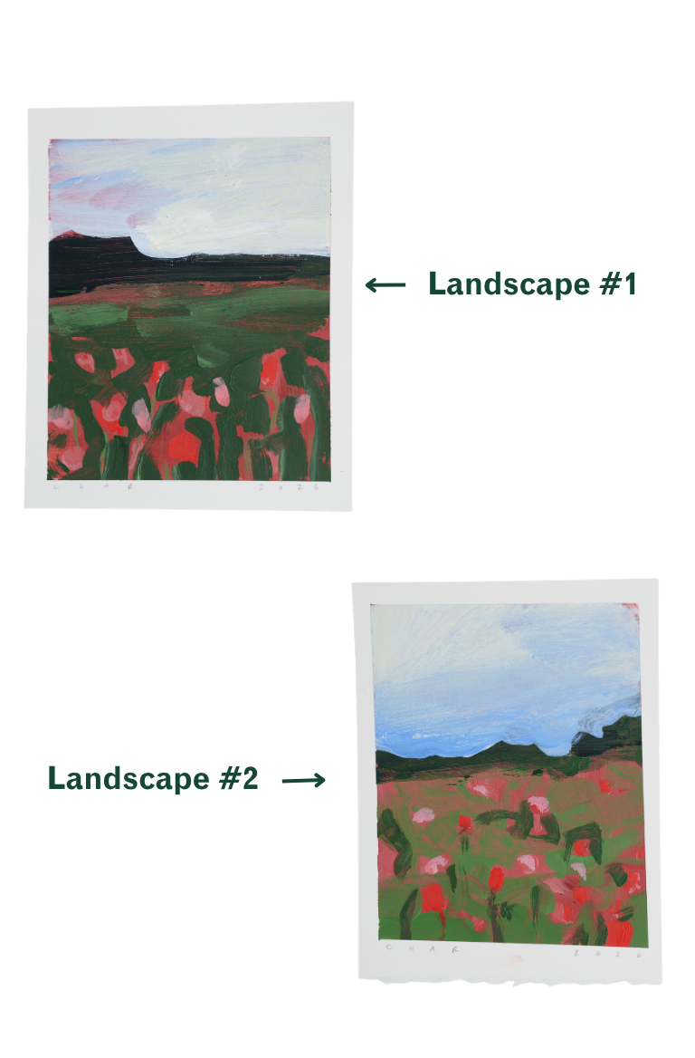 Charlotte Dworshak Paintings