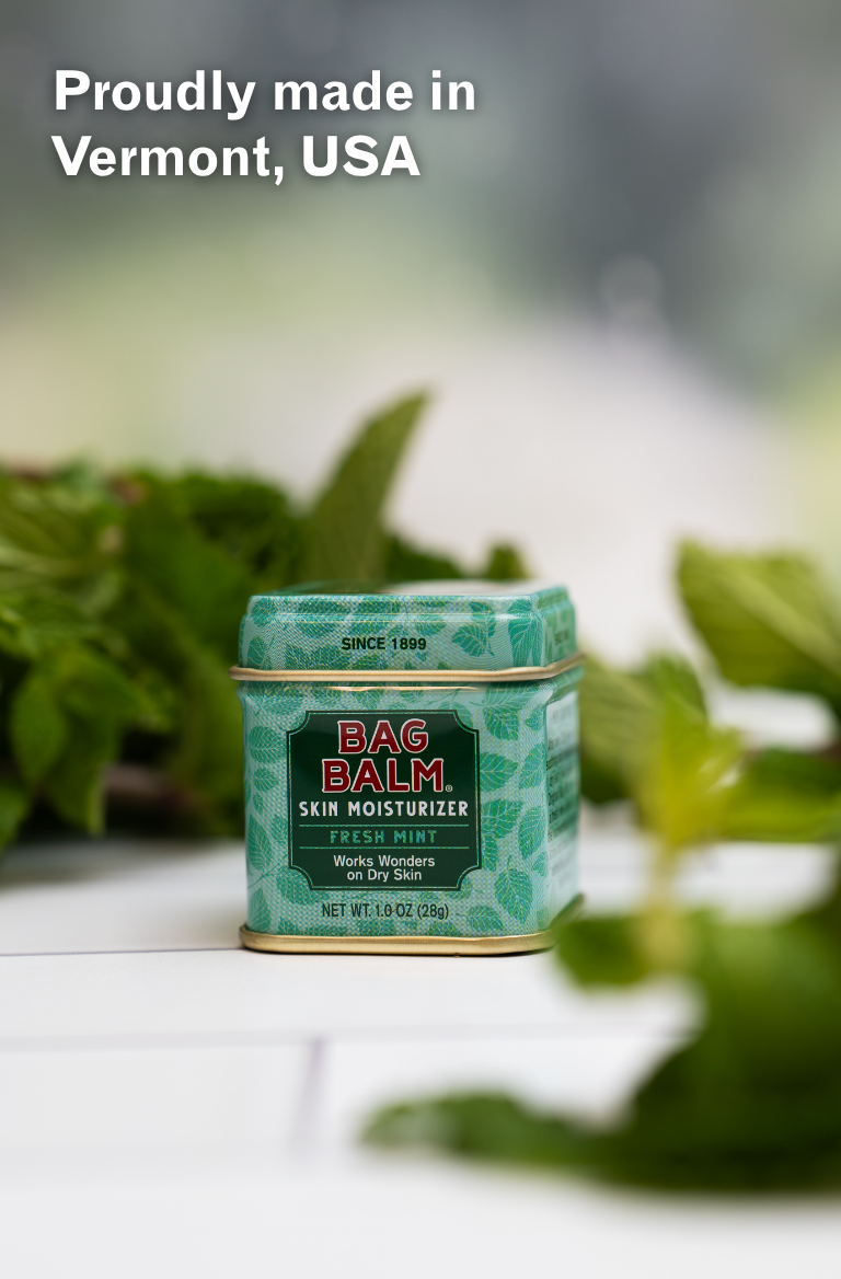 Fresh Mint Bag Balm