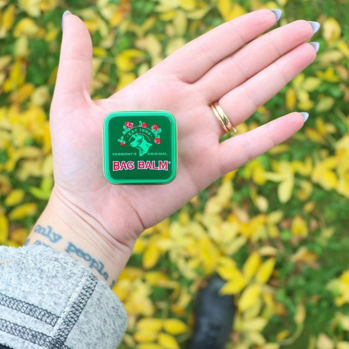 A small in of Bag Balm in a person's open palm
