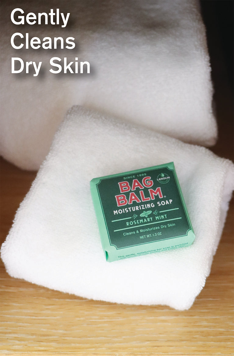 Bag Balm Moisturizing Soap in a green box