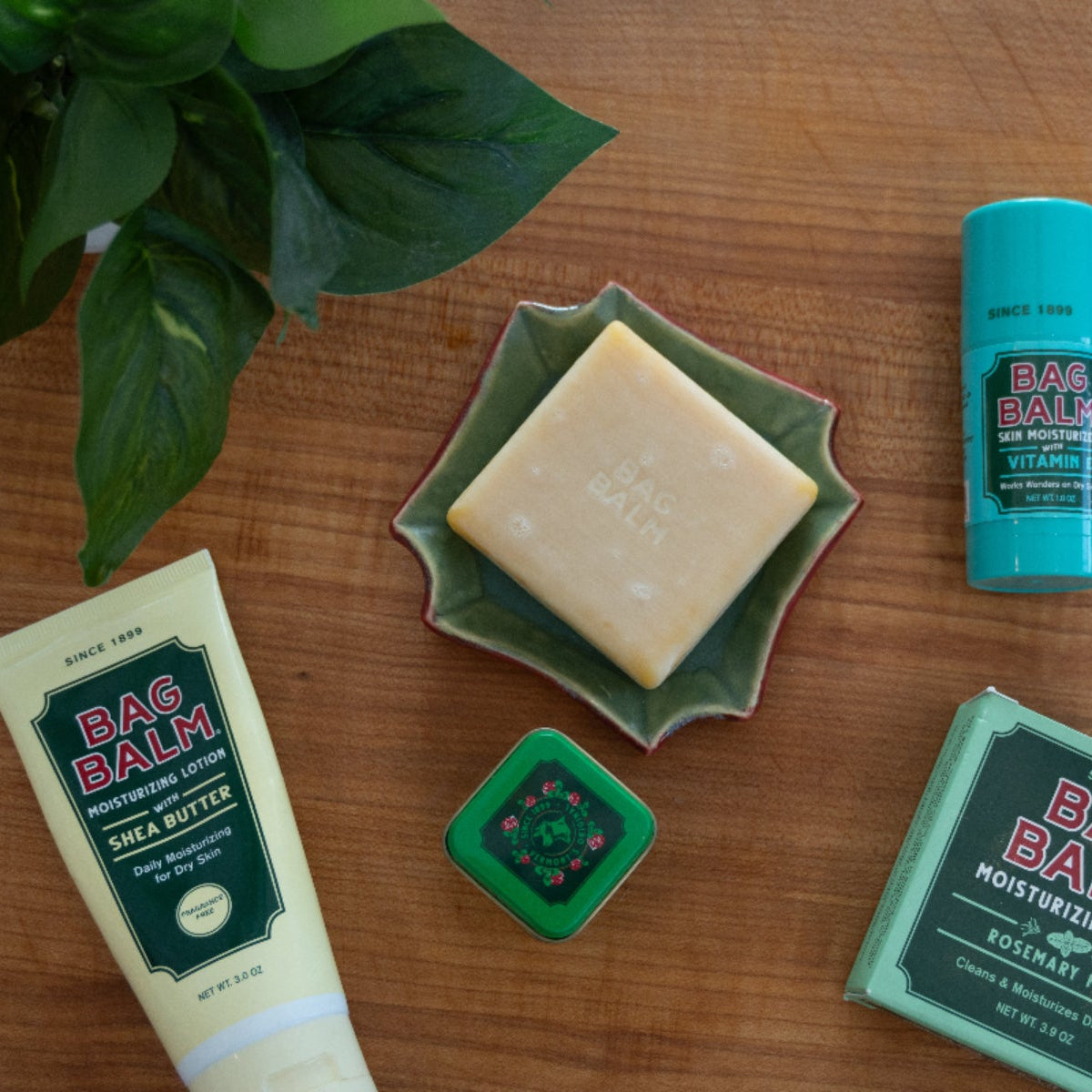Collection of Bag Balm products including balm, soap, and lotion on a wooden surface with a plant.
