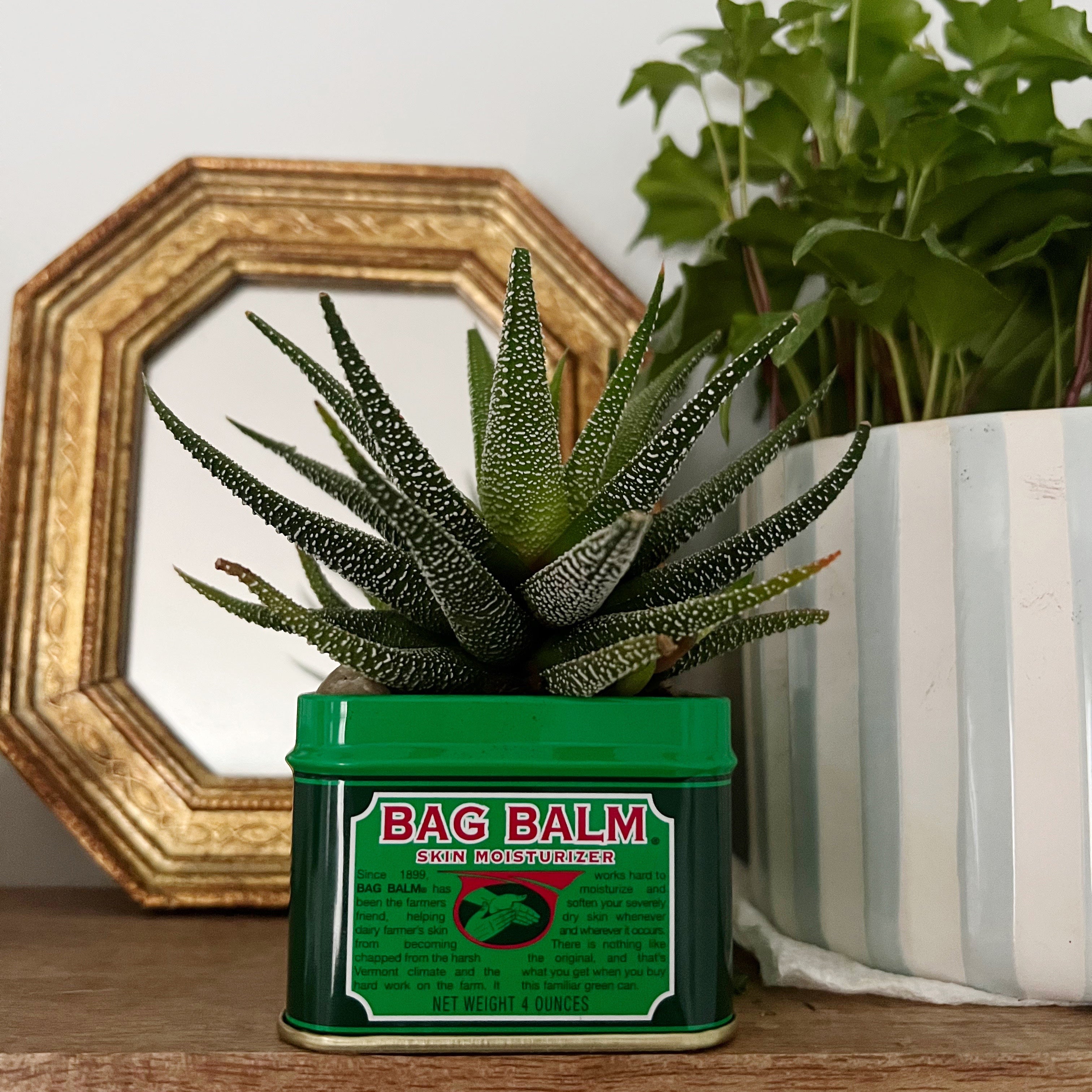 Up-Cycle Your Bag Balm Tin!