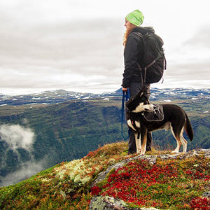 6 Things to Pack When Hiking with Your Dog This Fall