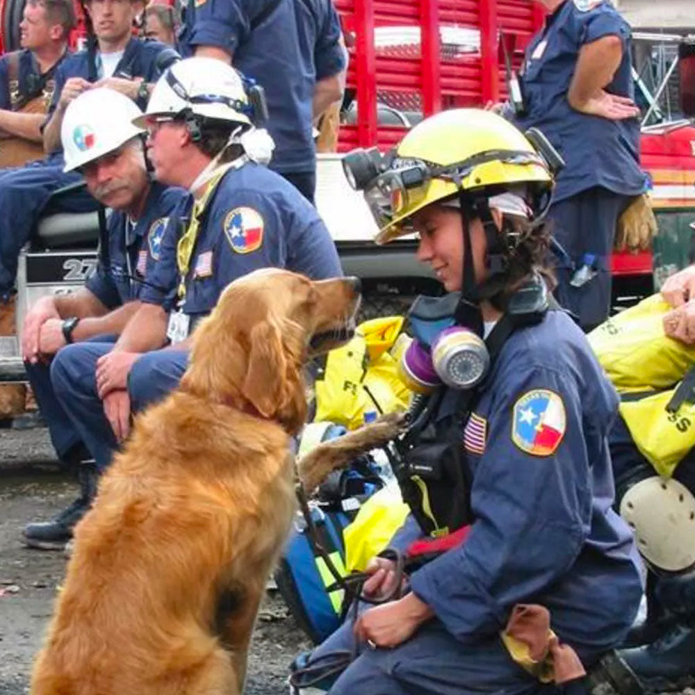Final Salute To 9/11 Rescue Dog