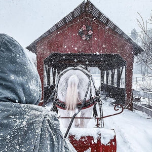 Today’s Hot Topic: The Deep Freeze