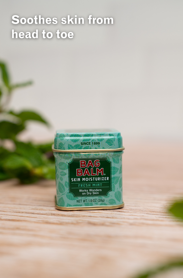 Bag Balm Fresh Mint Skin Moisturizer on tile surface with fresh mint in background