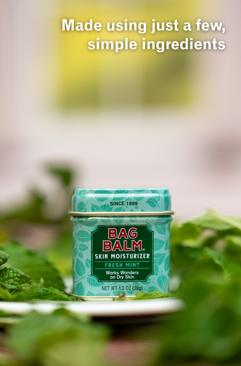 Bag Balm Fresh Mint Skin Moisturizer on tile surface with fresh mint in background and foreground