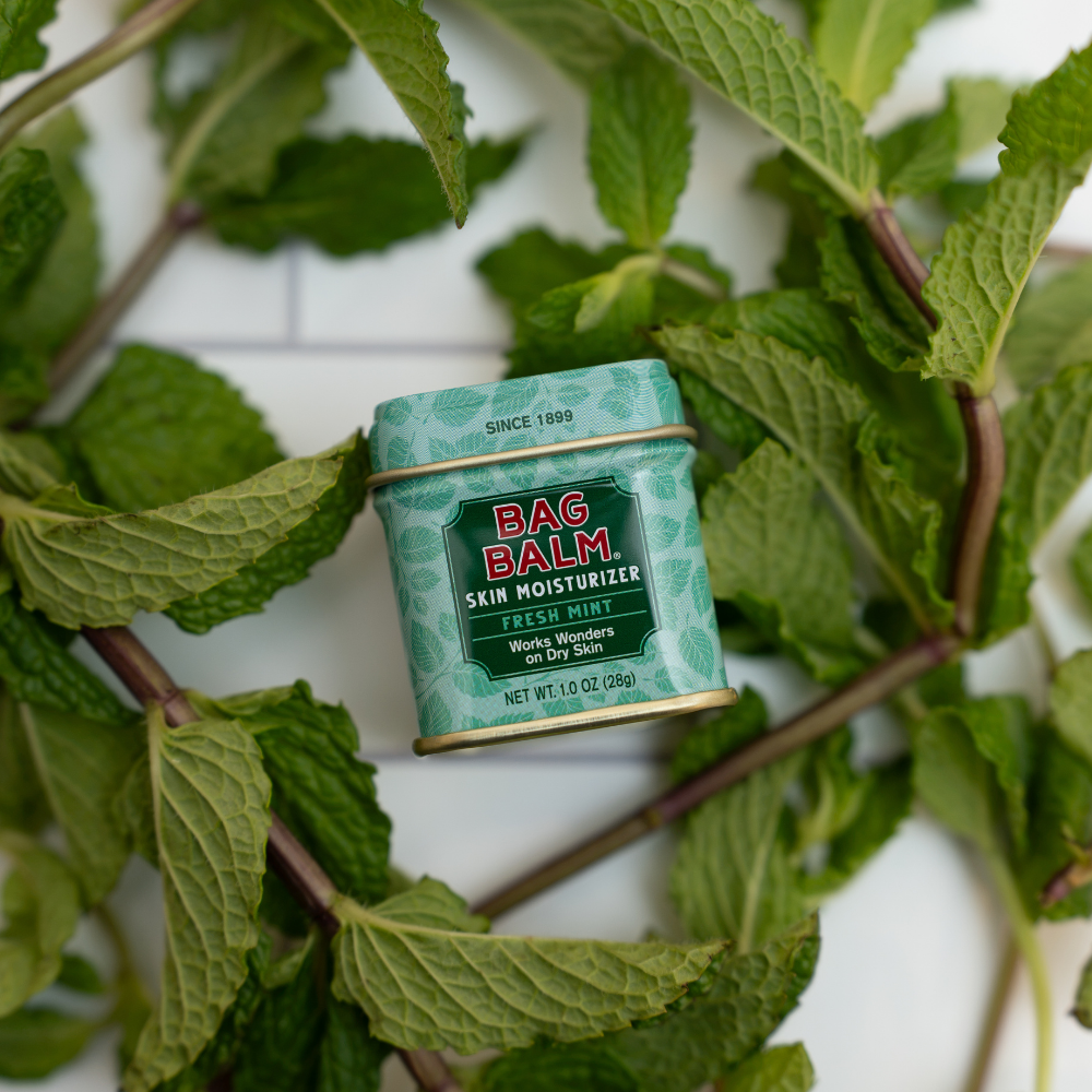 Bag Balm Fresh Mint Skin Moisturizer on tile surface surrounded by fresh mint