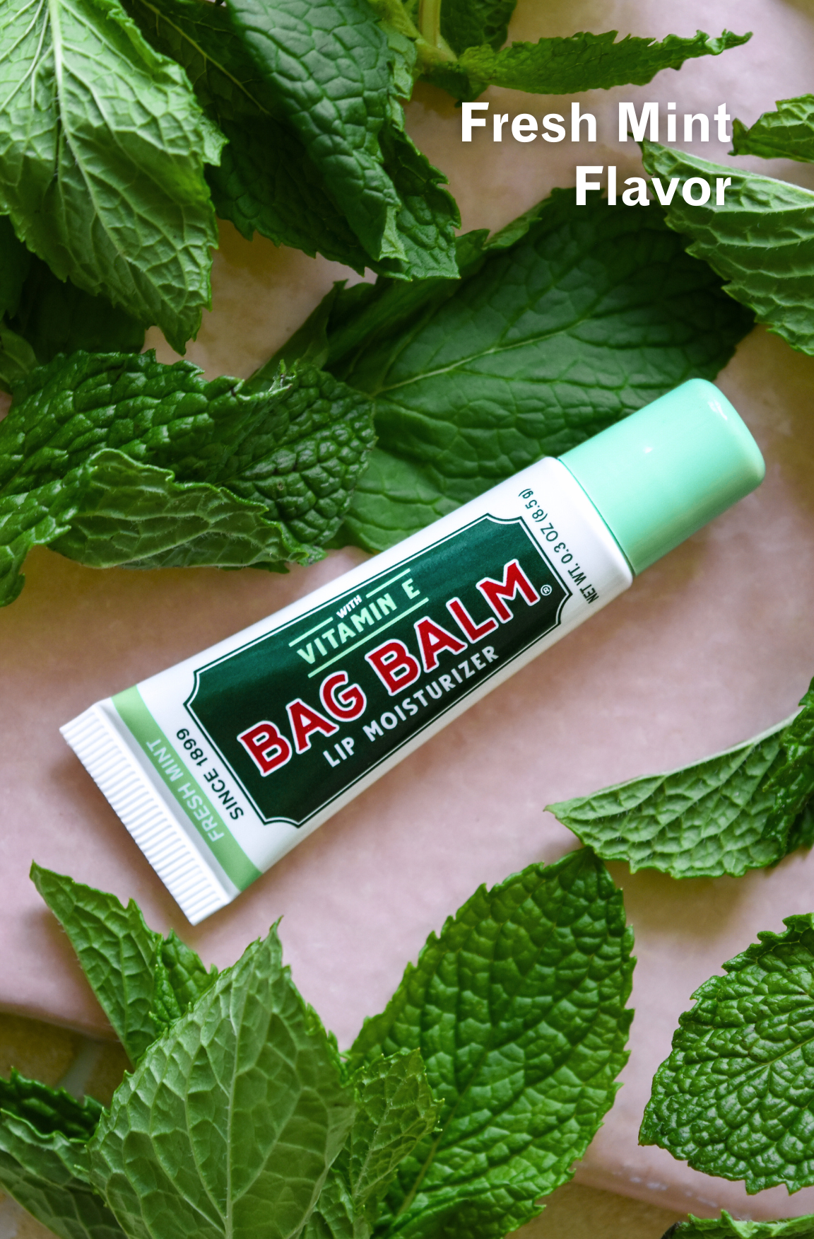 Fresh Mint Lip Balm