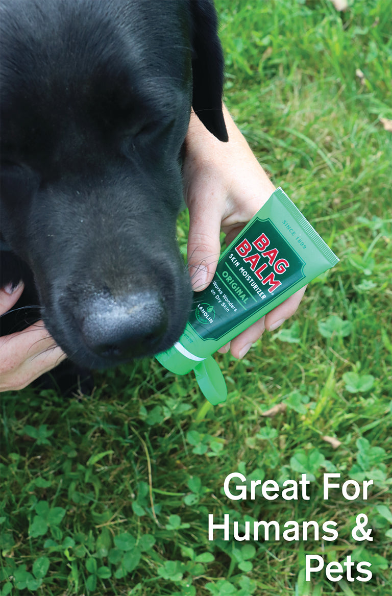 Bag balm for nursing dogs best sale