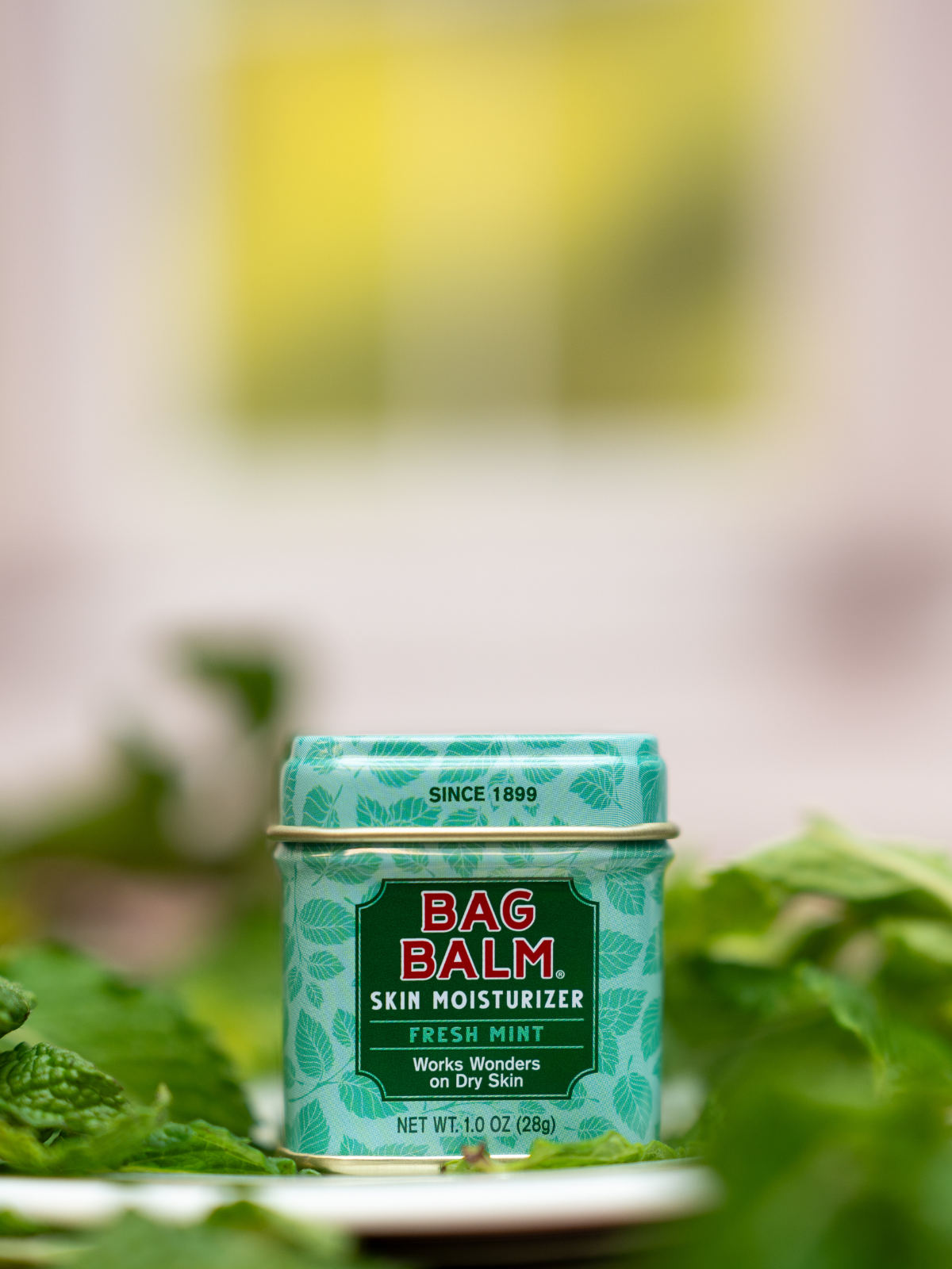 A small tin of Bag Balm Fresh Mint skin moisturizer placed on a white plate, surrounded by blurred green mint leaves and a soft, out-of-focus background.
