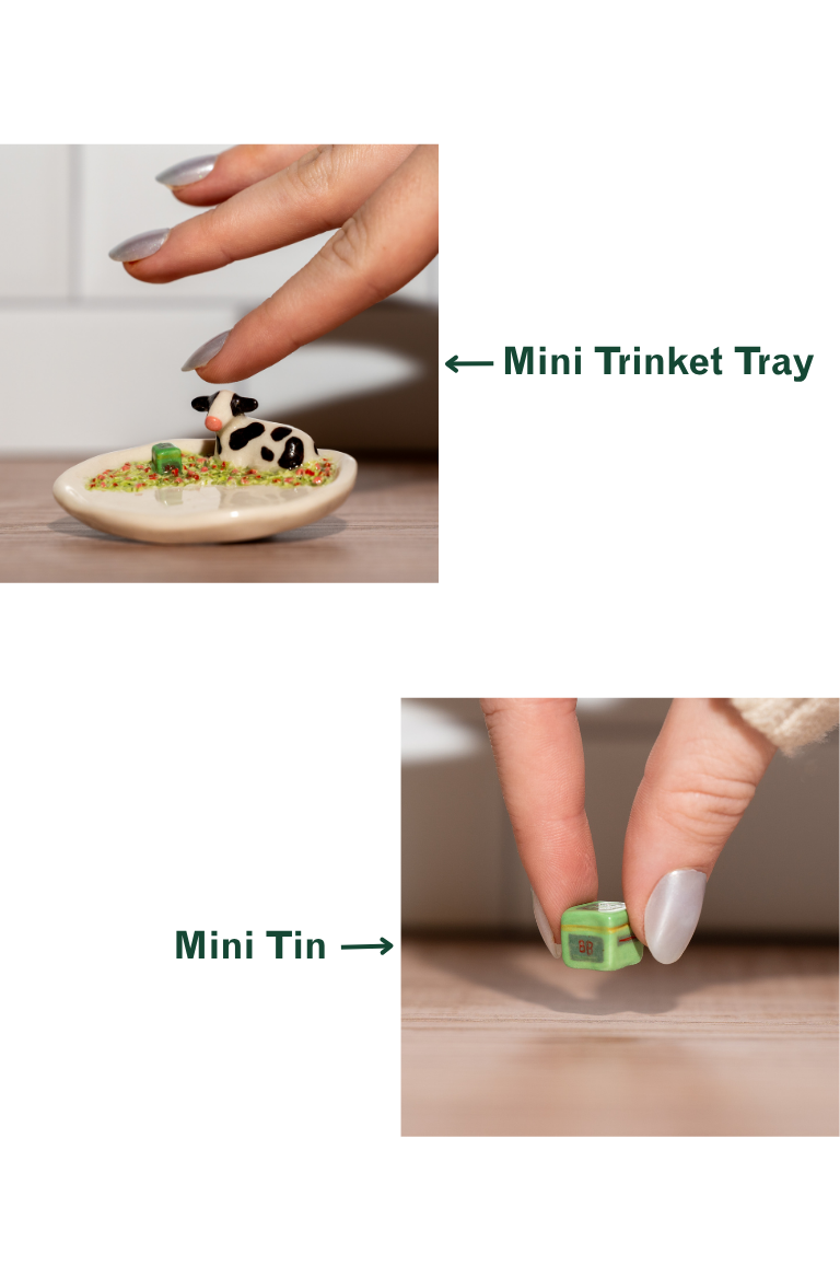 Bag Balm inspired ceramics, trinket tray and tiny Bag Balm Mini Tin